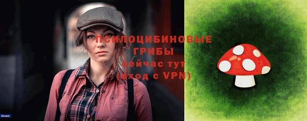 дурь Елизово
