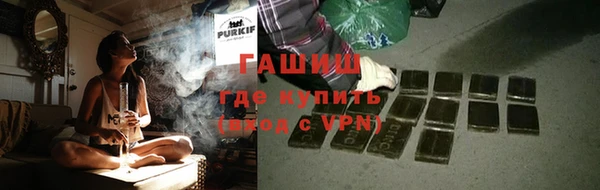 молекула духа Елабуга