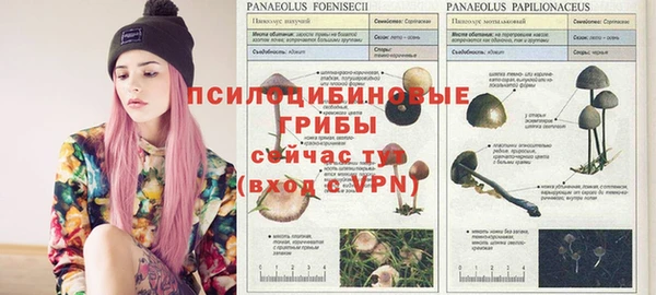 кокаин колумбия Ельня