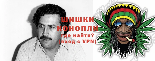 молекула духа Елабуга