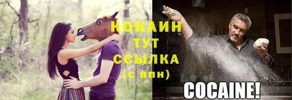 дживик Зеленодольск