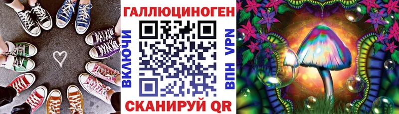 закладки  Ишим  Псилоцибиновые грибы мицелий 
