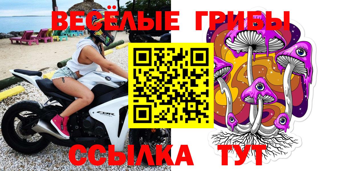Ишим  Псилоцибиновые грибы MAGIC MUSHROOMS  Вход с VPN 