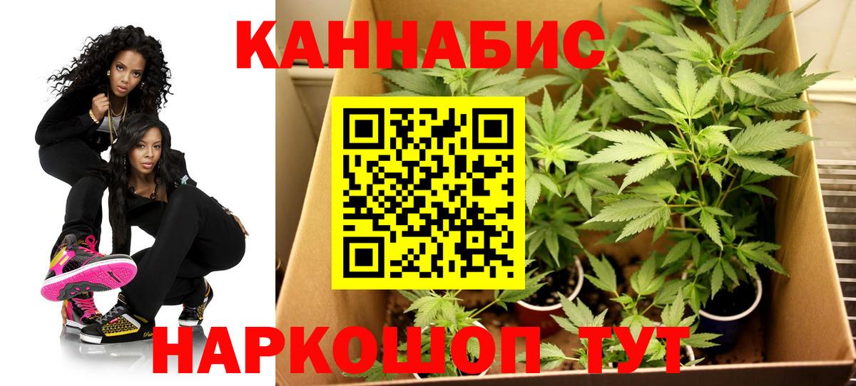 Бошки марихуана тримм  Вход с VPN  Конопля Ganja  МАРИХУАНА конопля  Ишим 